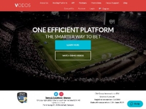 Скриншот главной страницы сайта vodds.com