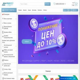 Скриншот главной страницы сайта vodolei54.ru