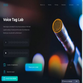 Скриншот главной страницы сайта voicetaglab.com