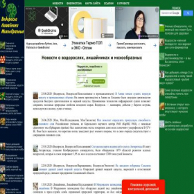 Скриншот главной страницы сайта volimo.ru
