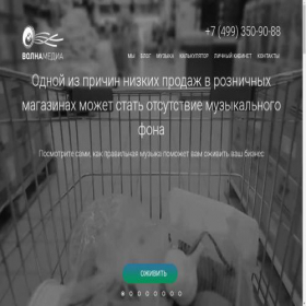 Скриншот главной страницы сайта volna-media.ru