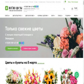 Скриншот главной страницы сайта volokolamsk.dostavka-cvetov24.ru