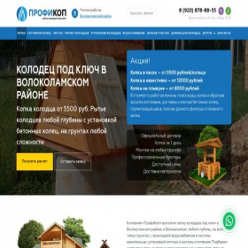 Скриншот главной страницы сайта volokolamsk.kolodets-ceptik.ru