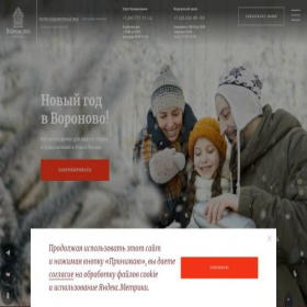 Скриншот главной страницы сайта voronovo.lrc-economy.ru