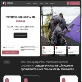 Скриншот главной страницы сайта voshod12.ru