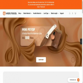 Скриншот главной страницы сайта vosteed.com