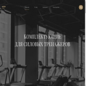 Скриншот главной страницы сайта vostok-sport.web.app