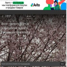 Скриншот главной страницы сайта vostokmedia.com