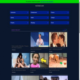 Скриншот главной страницы сайта vscheat.com