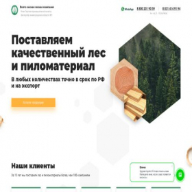 Скриншот главной страницы сайта vsemles.ru