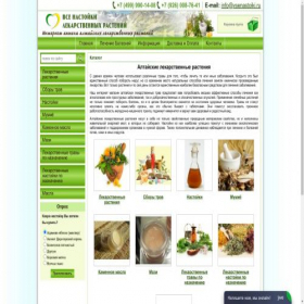 Скриншот главной страницы сайта vsenastoiki.ru