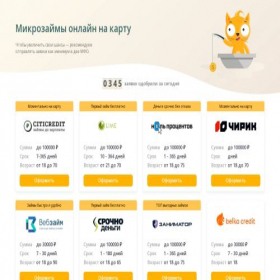 Скриншот главной страницы сайта vsezaymityt.store