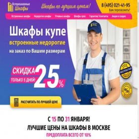 Скриншот главной страницы сайта vstraivaemye-shkafy.ru