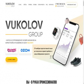 Скриншот главной страницы сайта vukolov-wb.online