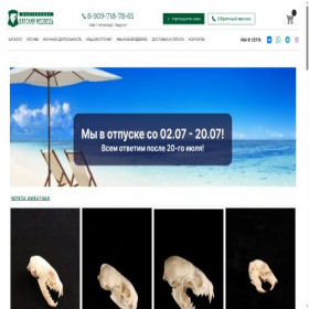 Скриншот главной страницы сайта vyatkabear.ru