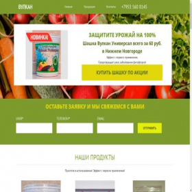Скриншот главной страницы сайта vylkan-shashka.ru