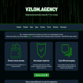 Скриншот главной страницы сайта vzlom.vip