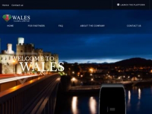 Скриншот главной страницы сайта wales-global.com