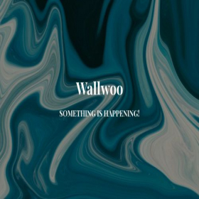 Скриншот главной страницы сайта wallwoo.com