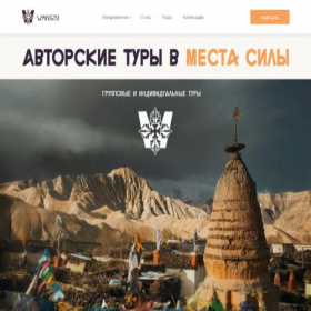 Скриншот главной страницы сайта wangdi.ru