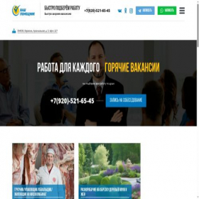 Скриншот главной страницы сайта washpomoshnik.ru