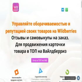 Скриншот главной страницы сайта wbassist.ru