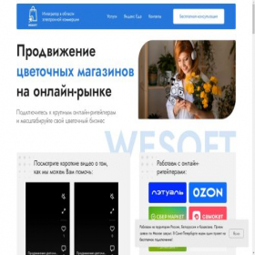 Скриншот главной страницы сайта we-soft.ru