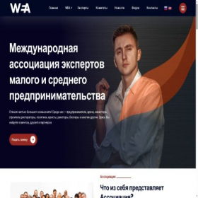 Скриншот главной страницы сайта wea.expert
