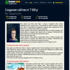 Скриншот главной страницы сайта web-88.ru