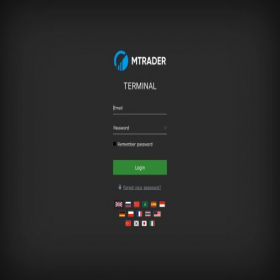 Скриншот главной страницы сайта web.mtrader.org