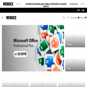 Скриншот главной страницы сайта webduck.by
