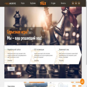 Скриншот главной страницы сайта webtrix.ru