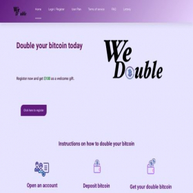 Скриншот главной страницы сайта wedodouble.com