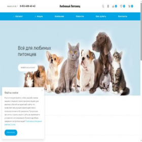 Скриншот главной страницы сайта welcome-shops.ru