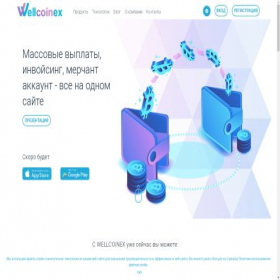 Скриншот главной страницы сайта wellcoinex.ru