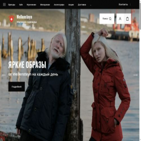 Скриншот главной страницы сайта wellensteyn-murmansk.com