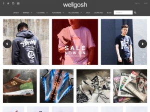 Скриншот главной страницы сайта wellgosh.com