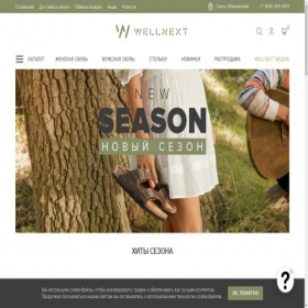 Скриншот главной страницы сайта wellnext.ru