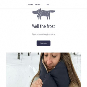 Скриншот главной страницы сайта wellthefrost.ru