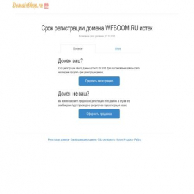 Скриншот главной страницы сайта wfboom.ru