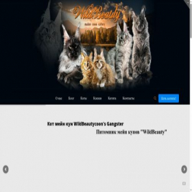 Скриншот главной страницы сайта wildbeauty.ru