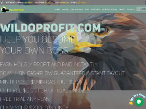 Скриншот главной страницы сайта wildoprofit.com