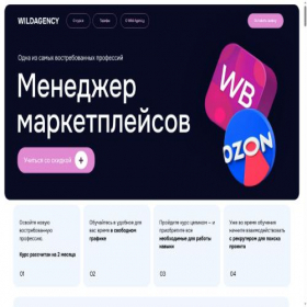 Скриншот главной страницы сайта wildskills.ru