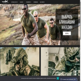 Скриншот главной страницы сайта wileyx-russia.com
