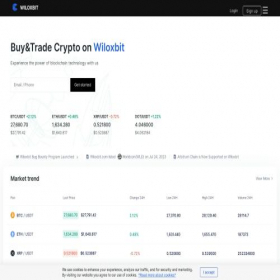 Скриншот главной страницы сайта wiloxbit.com