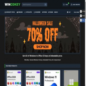 Скриншот главной страницы сайта wincdkey.com