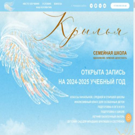 Скриншот главной страницы сайта wings-nvrsk.ru