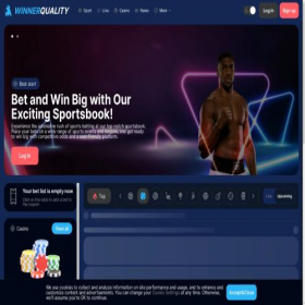 Скриншот главной страницы сайта winnerquality.com