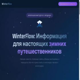 Скриншот главной страницы сайта winterflow.shop