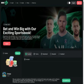 Скриншот главной страницы сайта wintoni.com